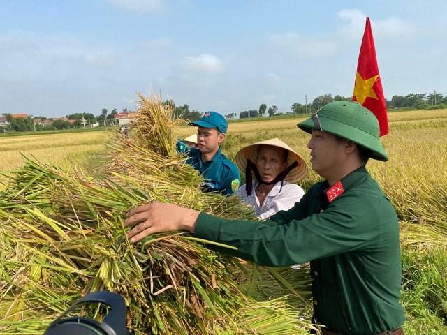Bộ đội giúp dân gặt lúa chạy lũ ở Quảng Bình, năm 2020. (Ảnh: dantri.com.vn)